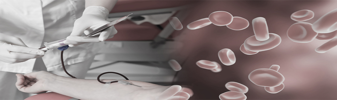 slider-header-index1-bis ehp boukhatmi